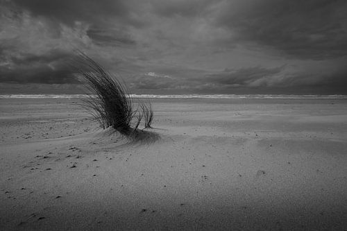 Nach dem Regen von Peter Bartelings
