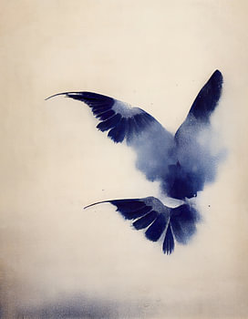 Oiseau indigo