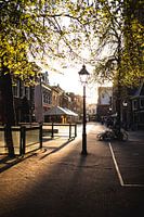 Haarlem during COVID-19