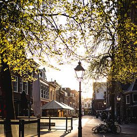 Haarlem tijdens COVID-19 van Bas de Glopper