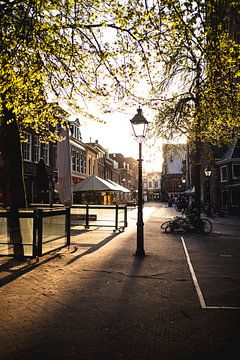 Haarlem during COVID-19 by Bas de Glopper