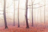 Herbstwald von Lavieren Photography Miniaturansicht