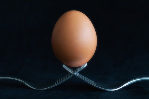 Ei rustend op twee vorken