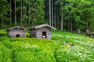 Twee kleine hutten aan de rand van het bos van Christa Kramer