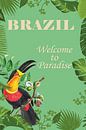 Brazil Paradise by Walljar thumbnail