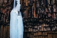 Frozen Svartifoss waterfall in Iceland by Martijn Smeets thumbnail