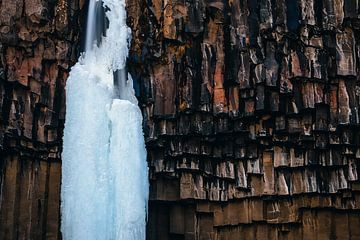 Gefrorener Wasserfall Svartifoss in Island von Martijn Smeets