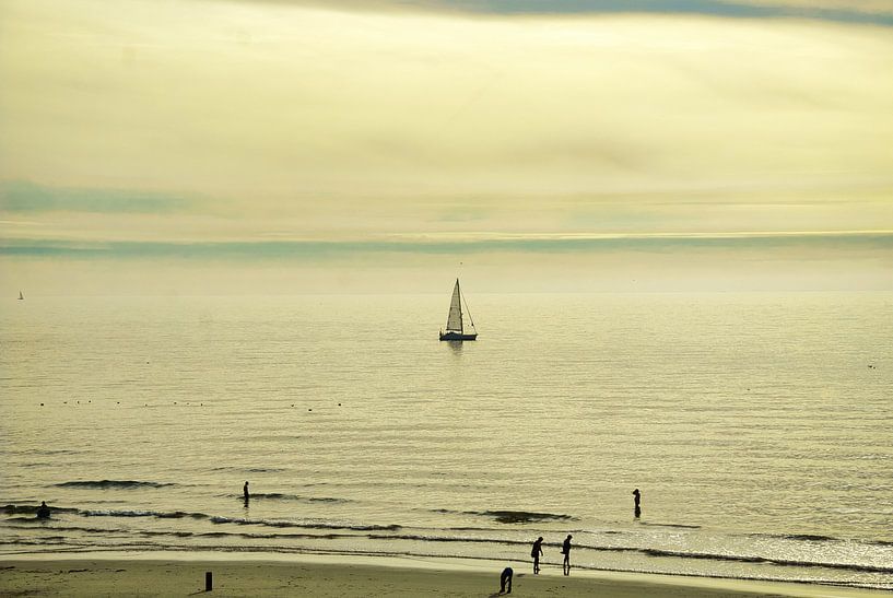 Enjoying along the beach by Natuurpracht   Kees Doornenbal