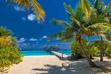 Palm Beach Island Resort aux Maldives, atoll de Lhaviyani
