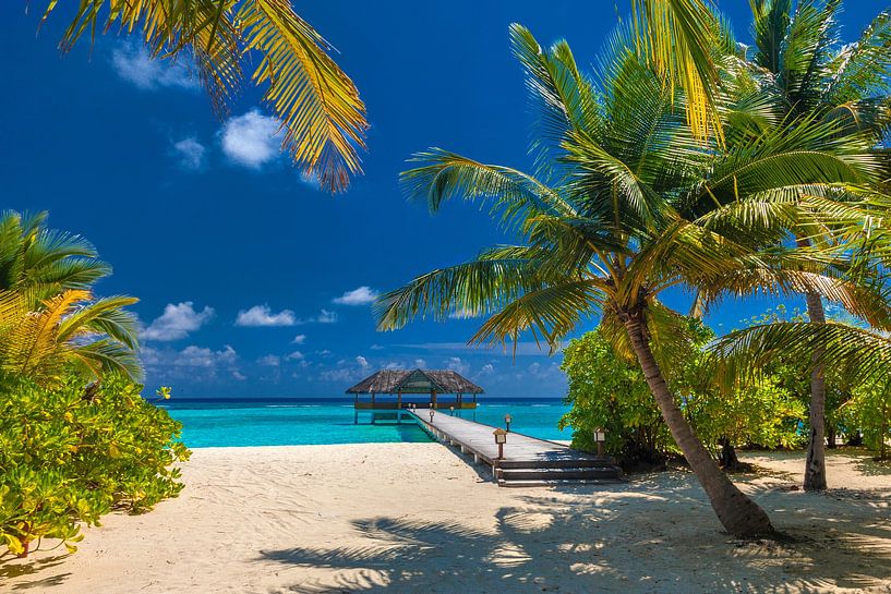 Palm Beach Island Resort in de Maldiven, Lhaviyani Atoll van Thomas Rieger