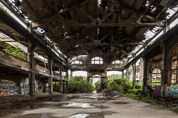 natuur neemt het over van Margit Houtman