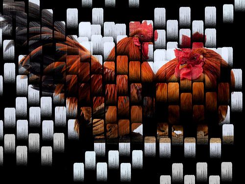 Met de kippen op stok 1