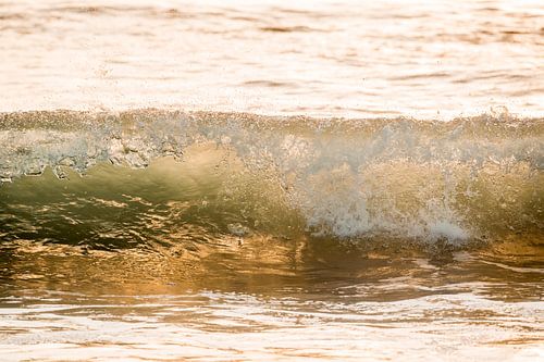 Golf Zee Goud in de Avondzon