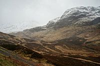 Glencoe-Tal.