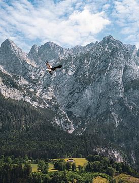Eagle in the Alps van Nordic Niels