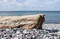 Holz auf møn