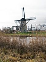 Windmills in Kinderdijk, The Netherlands.
