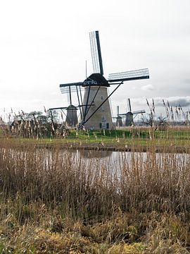 Windmühlen in Kinderdijk, die Niederlande. von Liset Verberne