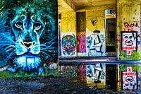 Under the bridge