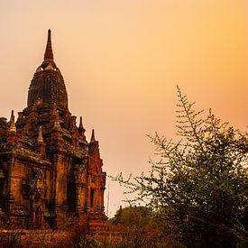 Gelassener Tempel in Bagan von Joey Ploch