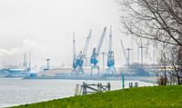 Industrie versus natuur Rotterdam van Anouschka Hendriks thumbnail