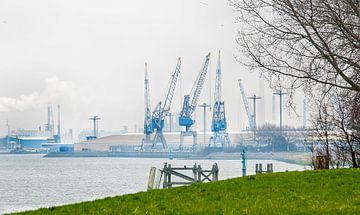 Industrie gegen Natur Rotterdam