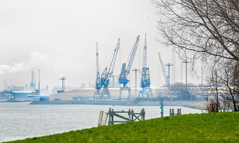 Industrie versus natuur Rotterdam van Anouschka Hendriks