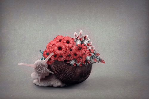 Kleurrijke Beeldmanipulatie van een Slak met Rode Gerbera's – Wanddecoratie voor Elk Interieur