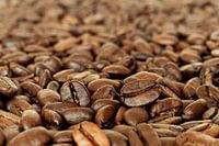 Fragrant Roasted Glossy coffee beans