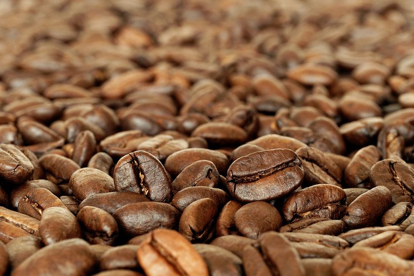 Fragrant Roasted Glossy coffee beans by Michelle Coppiens