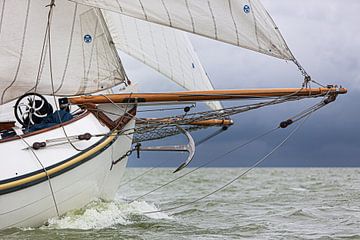 Lemsteraak en action