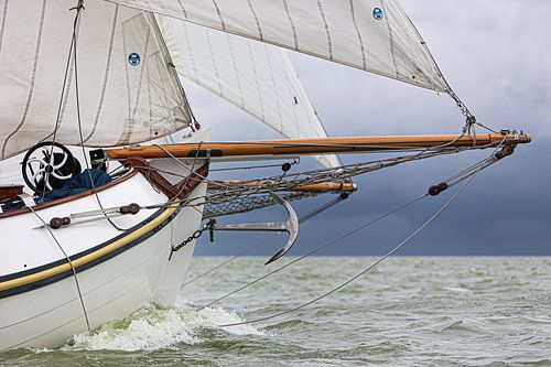 Lemsteraak in action