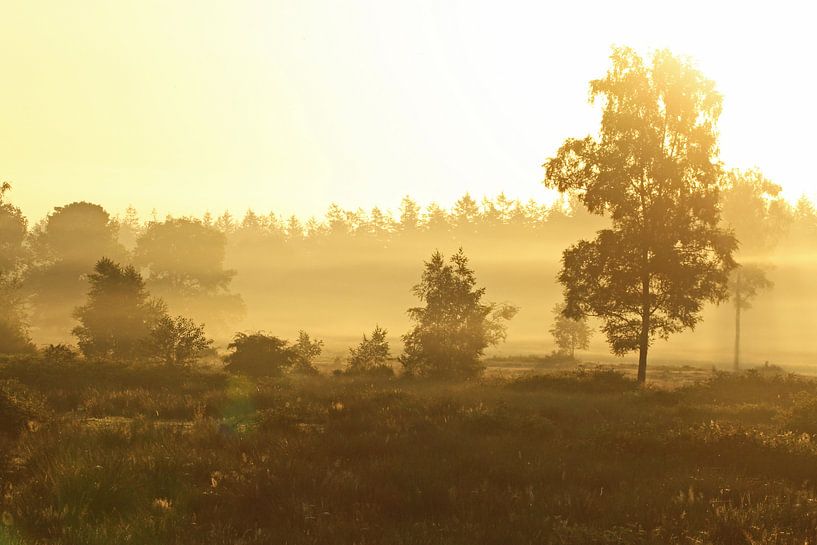 Zonsopgang / Sunrise van Jan Katsman