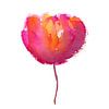 Pink Beauty von Karen Kaspar