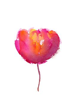 Pink Beauty