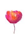 Pink Beauty von Karen Kaspar Miniaturansicht