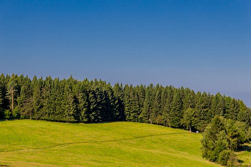 Prachtig landschap bij het Knüllfeld/Thüringer Woud