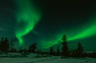 Nordlicht in Finnisch-Lappland || Polarkreis, Finnland von Suzanne Spijkers Miniaturansicht