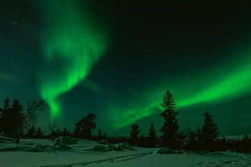 Noorderlicht in Fins Lapland || Poolcirkel, Finland van Suzanne Spijkers