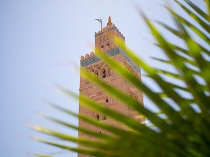 De Koutoubia moskee en palmboom in Marrakesh van Teun Janssen