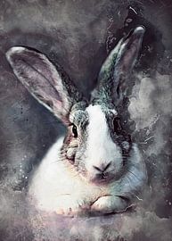 Rabbit animal art #Rabbit by JBJart Justyna Jaszke