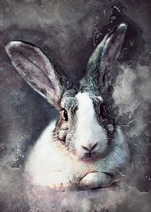 Kaninchen Tierkunst #Kaninchen