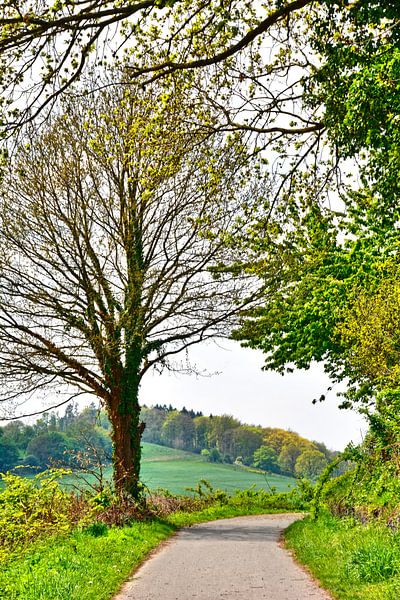 Frühlingsweg par Edgar Schermaul