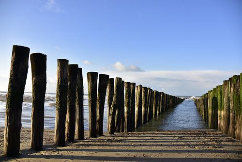 Opkomend en verdwijnend in de zee