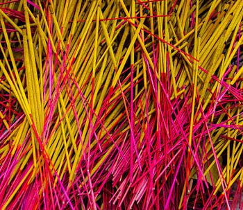 Wierook in rood en geel