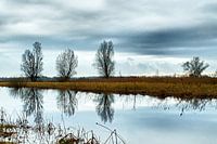 Winter landschap 