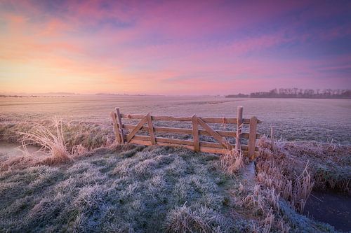 Hollands Polderlandschap