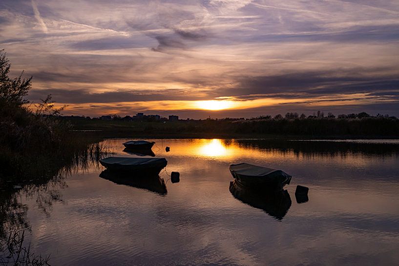 Coucher de soleil Ooijpolder par Willemijn Wolthaus