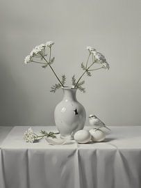 Achillea Vink by Artclaud