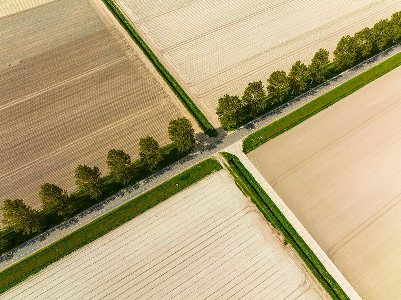 Crossroads in a rural landscape seen from above by Sjoerd van der Wal Photography